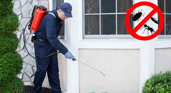Eceabat Dezenfeksiyon böcek ilaçlama ve haşere kontrolü — ilaclama-tr.com